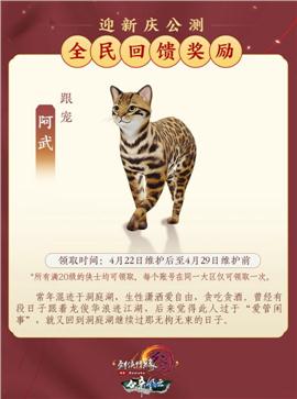 荣耀传奇私服